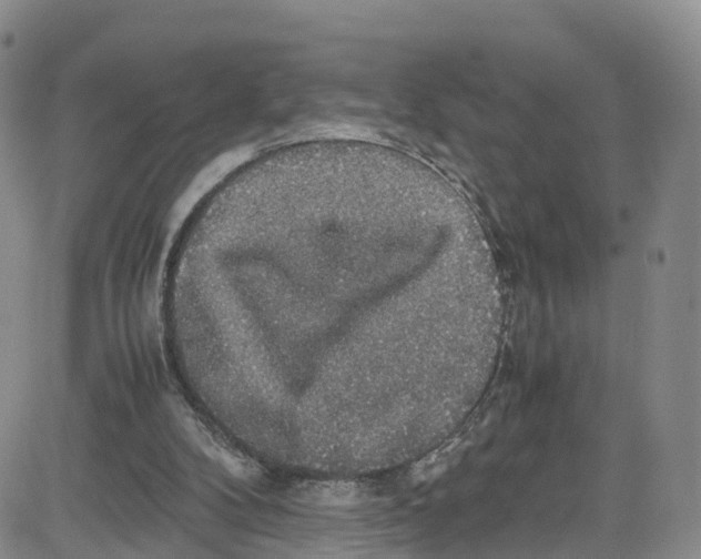 X0000080730104200701051109