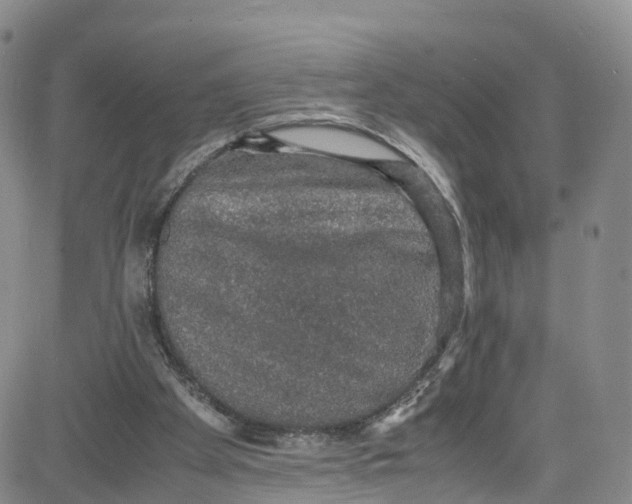 X0000080730105200701051109