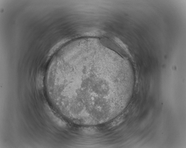 X0000080730106200701051109