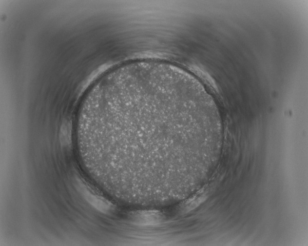 X0000080730108200701051109