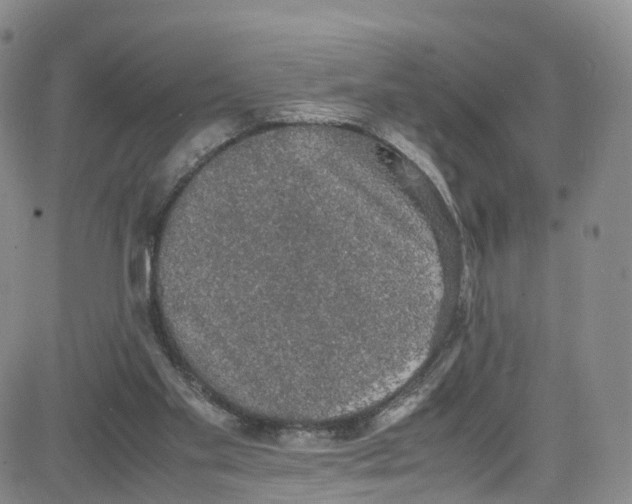 X0000080730109200701051109