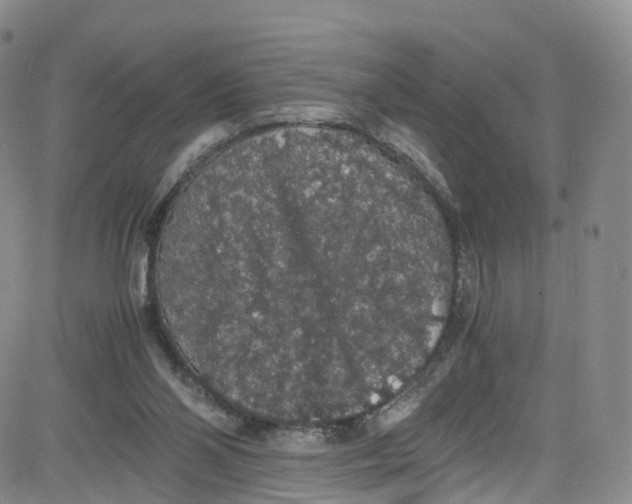 X0000080730110200701051109