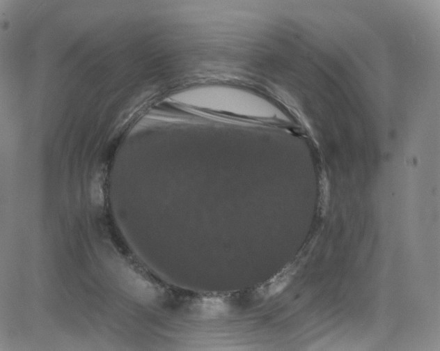 X0000080730114200701051109