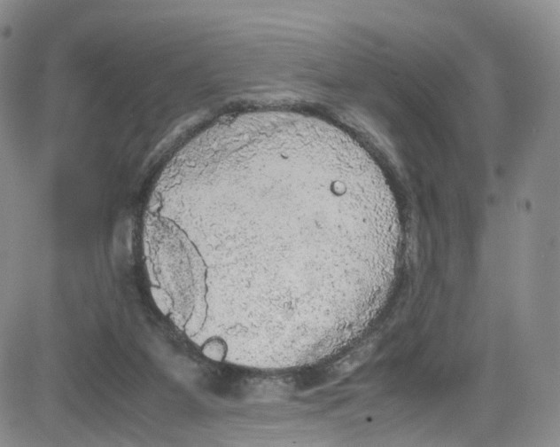 X0000080730115200701051109