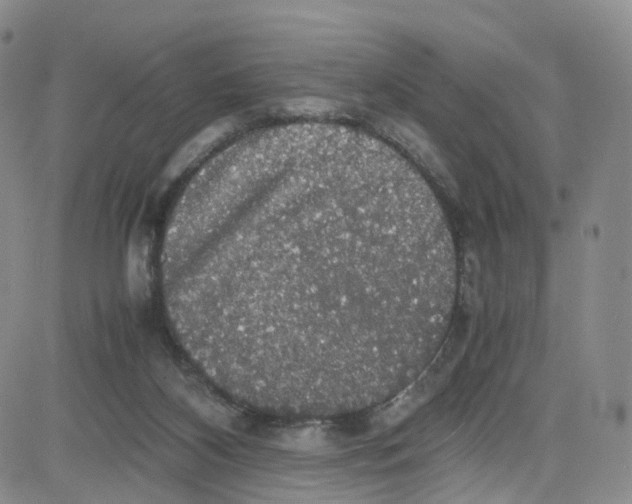 X0000080730116200701051109