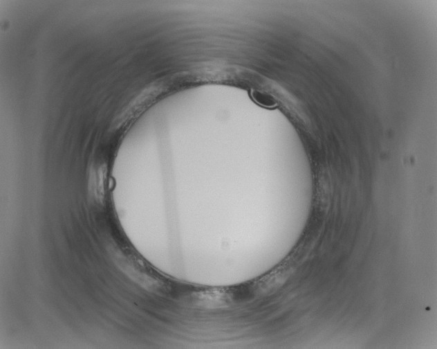 X0000080730118200701051109