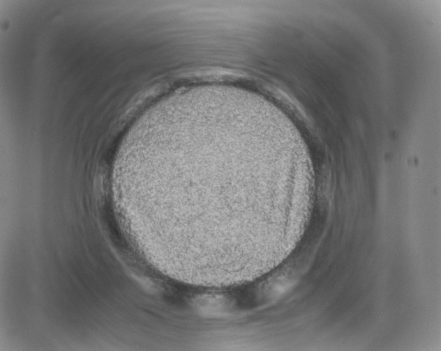 X0000080730119200701051109