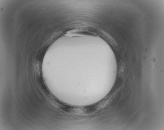 X0000080730121200701051109