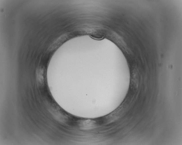 X0000080730122200701051109