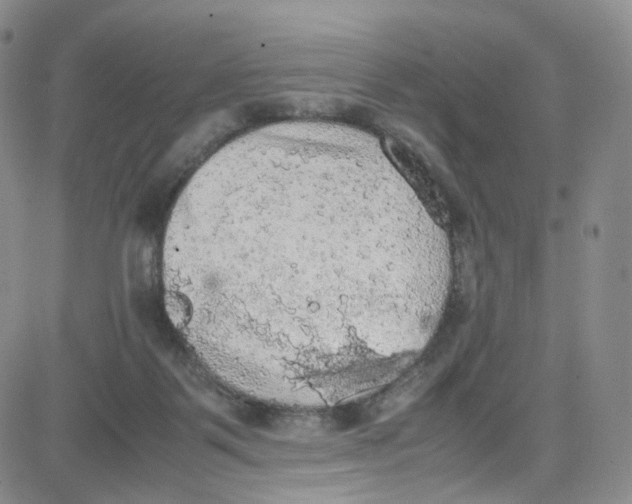 X0000080730123200701051108