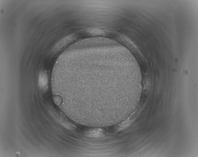 X0000080730124200701051108