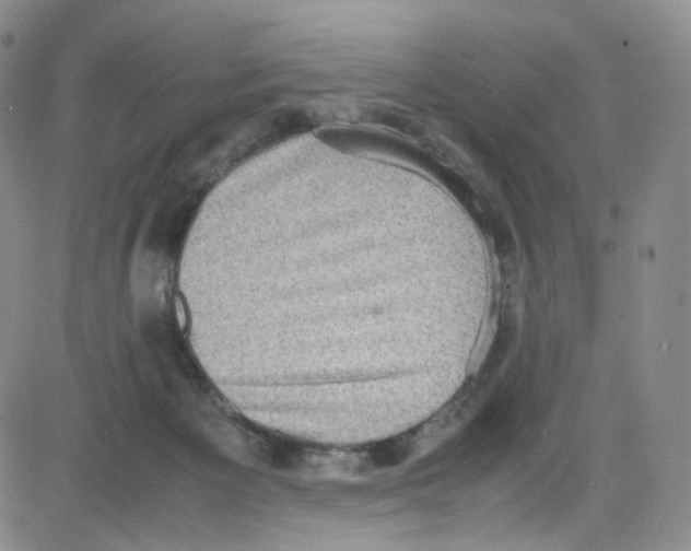 X0000080730125200701051108