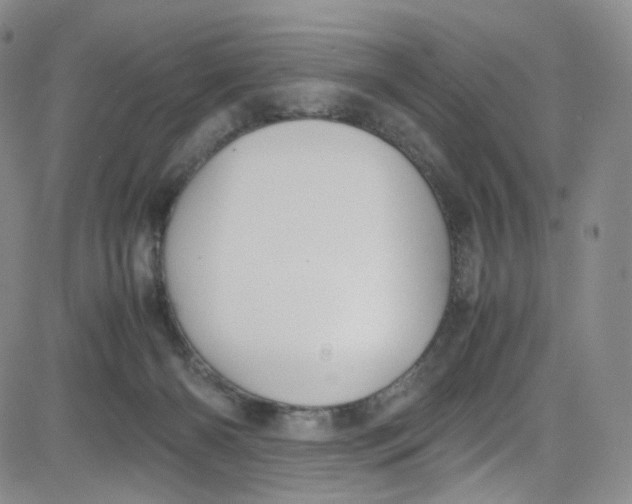 X0000080730126200701051108