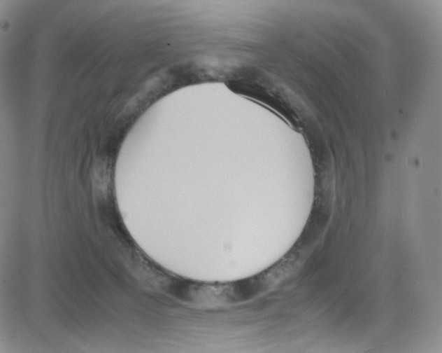 X0000080730129200701051108