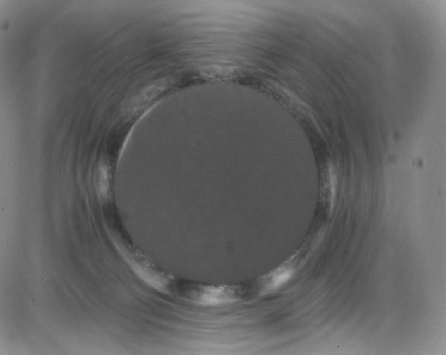 X0000080730130200701051108