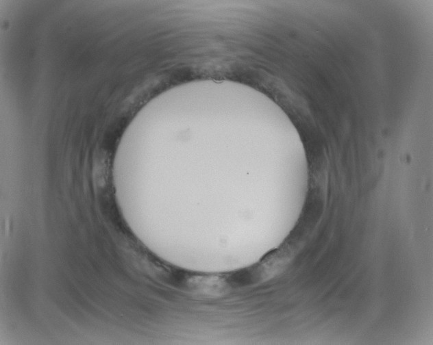 X0000080730133200701051108