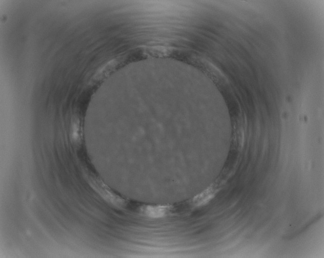 X0000080730134200701051108