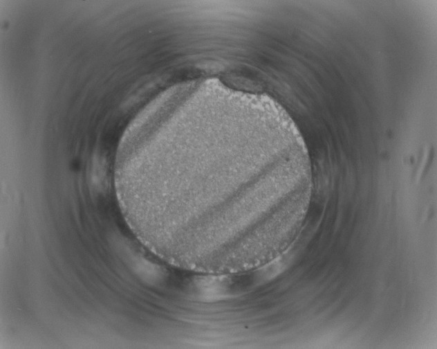 X0000080730136200701051108