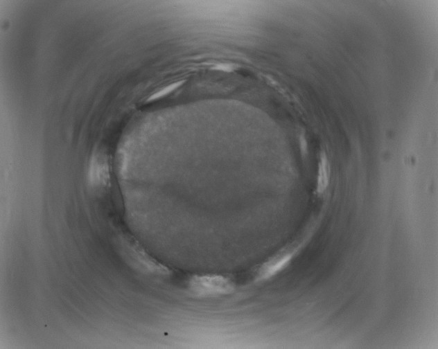 X0000080730137200701051108