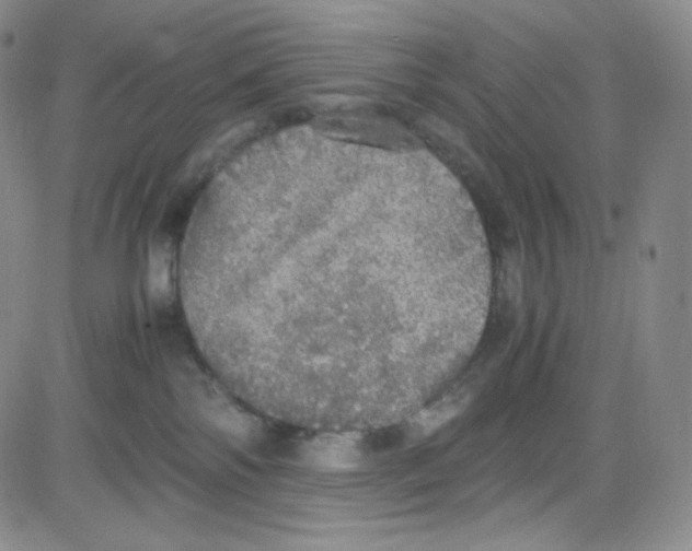 X0000080730138200701051108