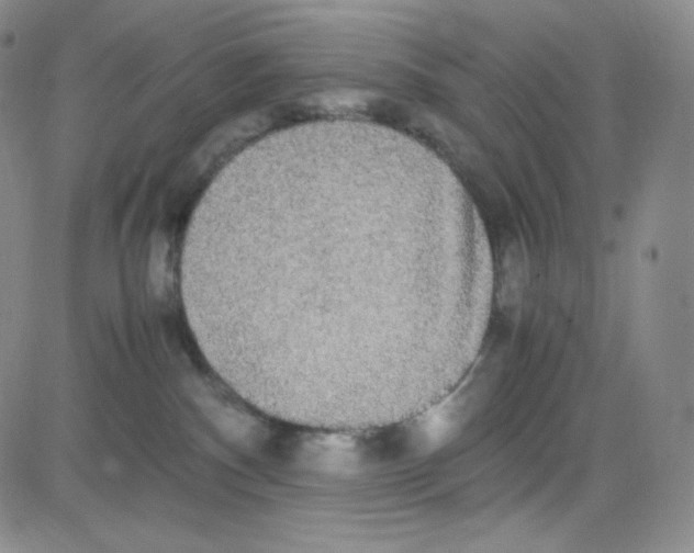 X0000080730140200701051108