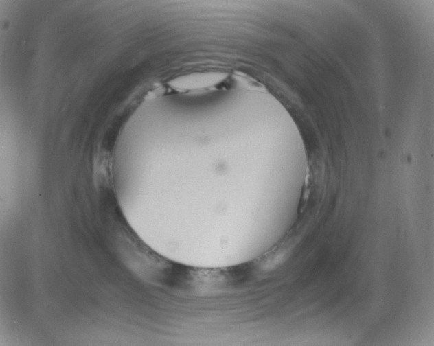 X0000080730141200701051108