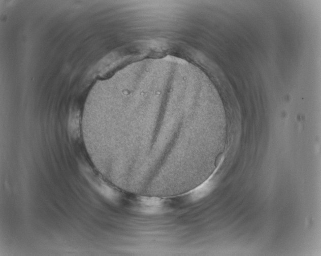 X0000080730144200701051108