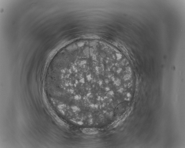 X0000080730145200701051107