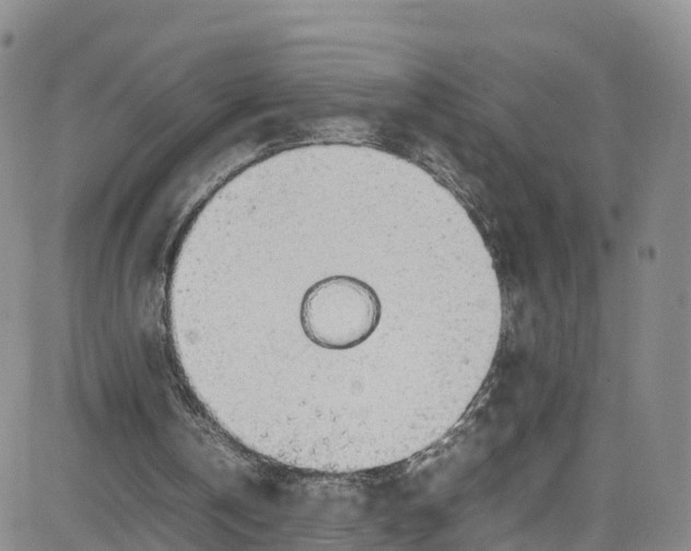 X0000080730146200701051107