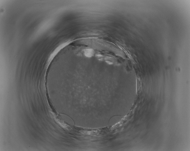 X0000080730147200701051107