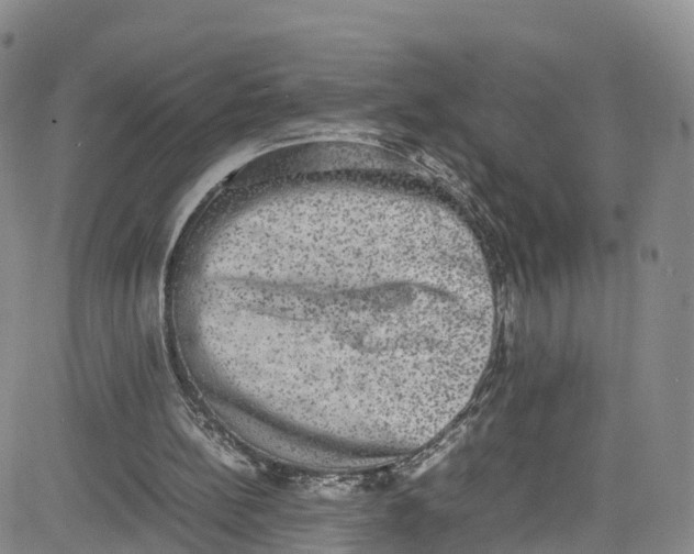 X0000080730148200701051107