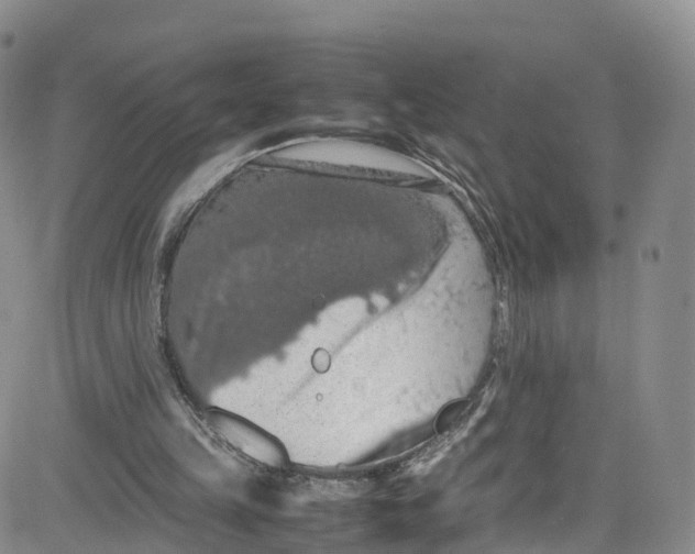 X0000080730149200701051107