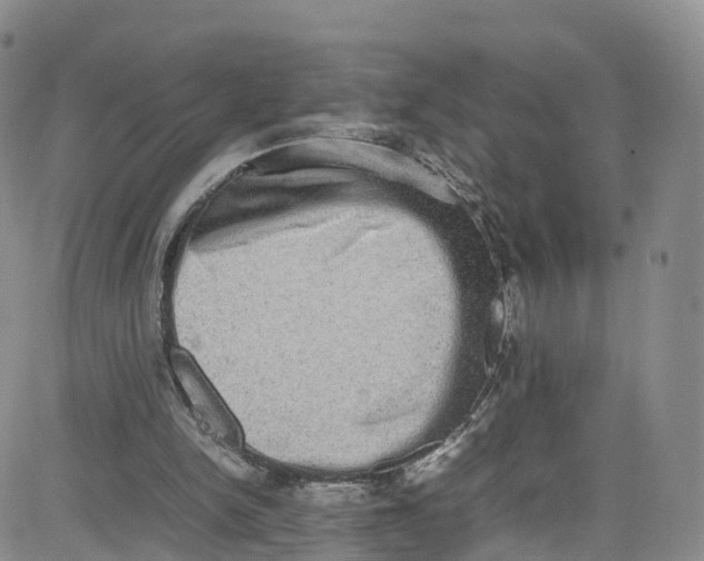 X0000080730150200701051107