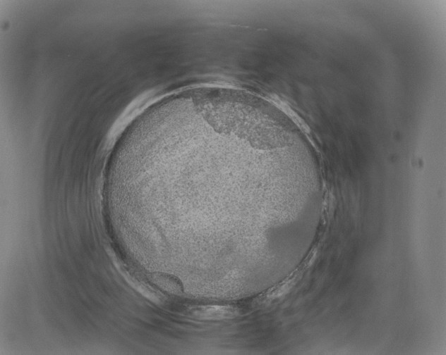 X0000080730151200701051107