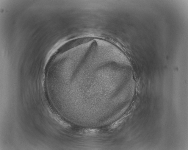 X0000080730152200701051107