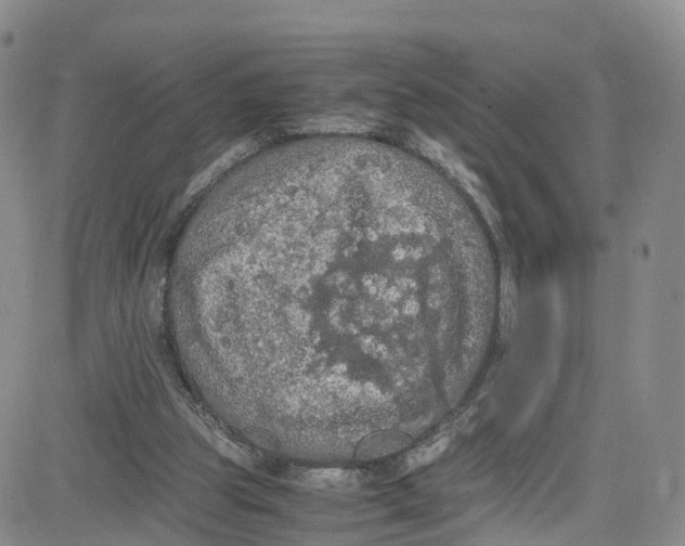 X0000080730153200701051108