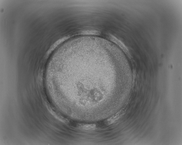 X0000080730155200701051108