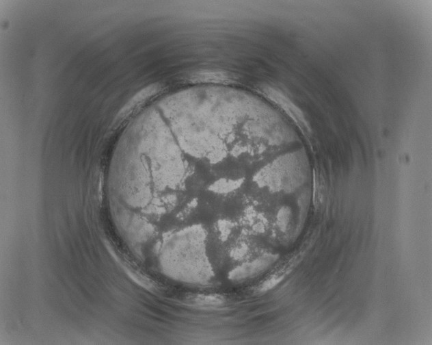 X0000080730157200701051108