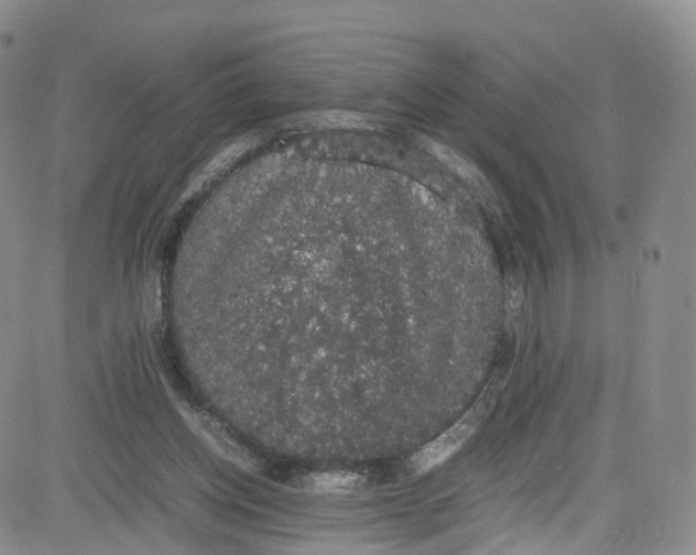 X0000080730158200701051108