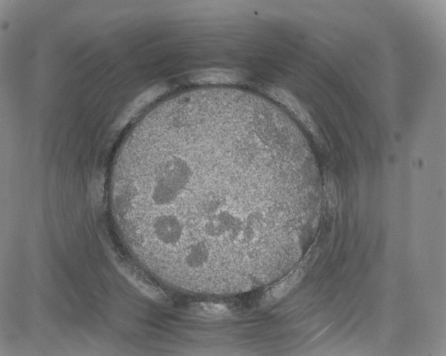 X0000080730159200701051108