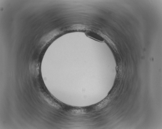 X0000080730160200701051108