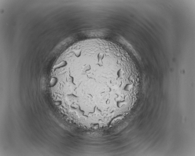 X0000080730161200701051108