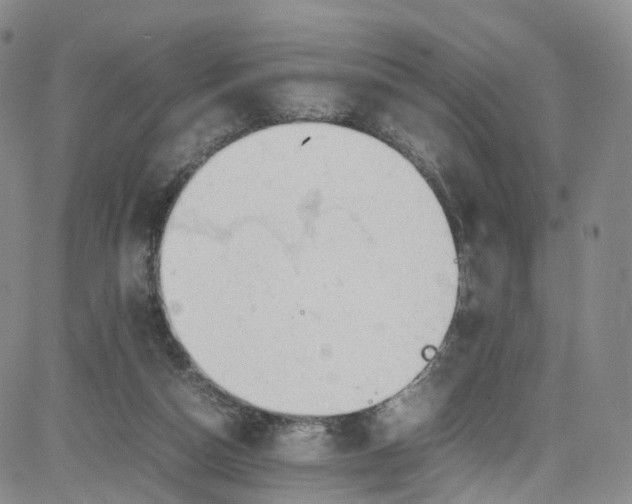 X0000080730162200701051108