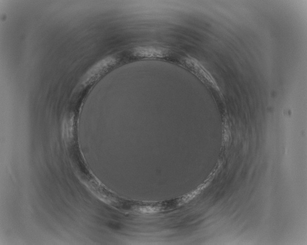 X0000080730163200701051108