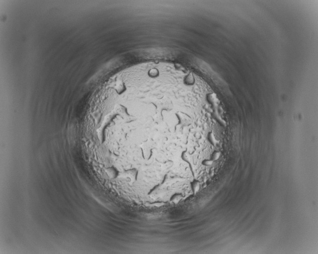 X0000080730165200701051108