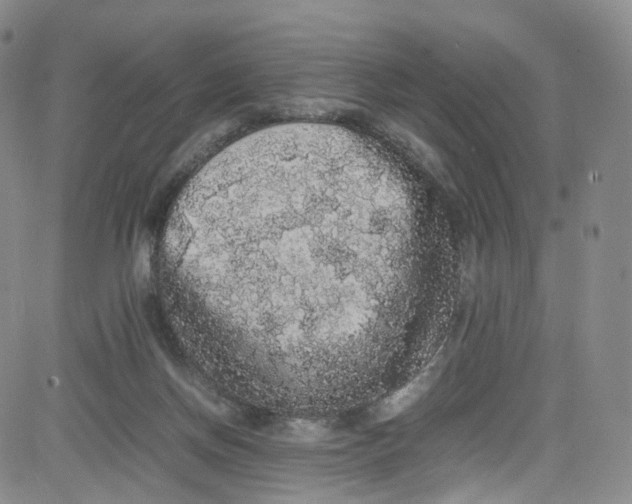 X0000080730166200701051108