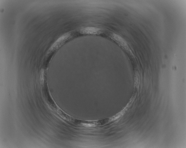 X0000080730167200701051108