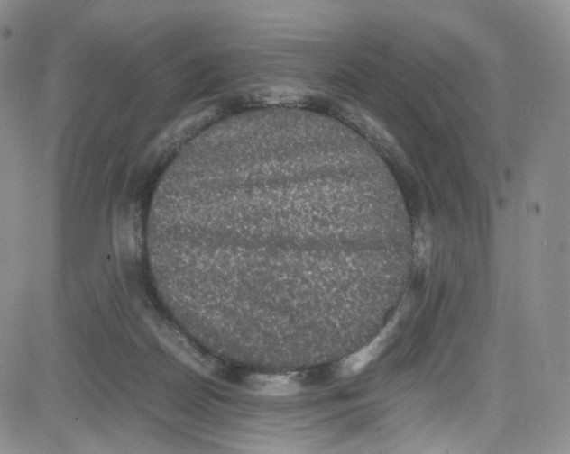 X0000080730170200701051108