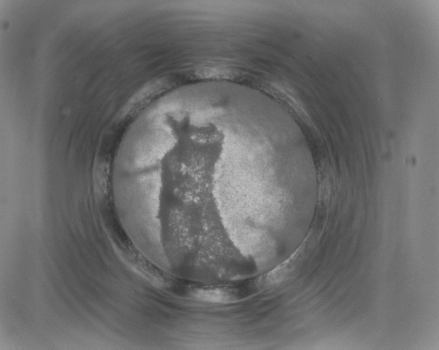 X0000080730171200701051108