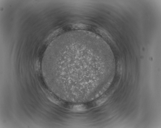 X0000080730173200701051108